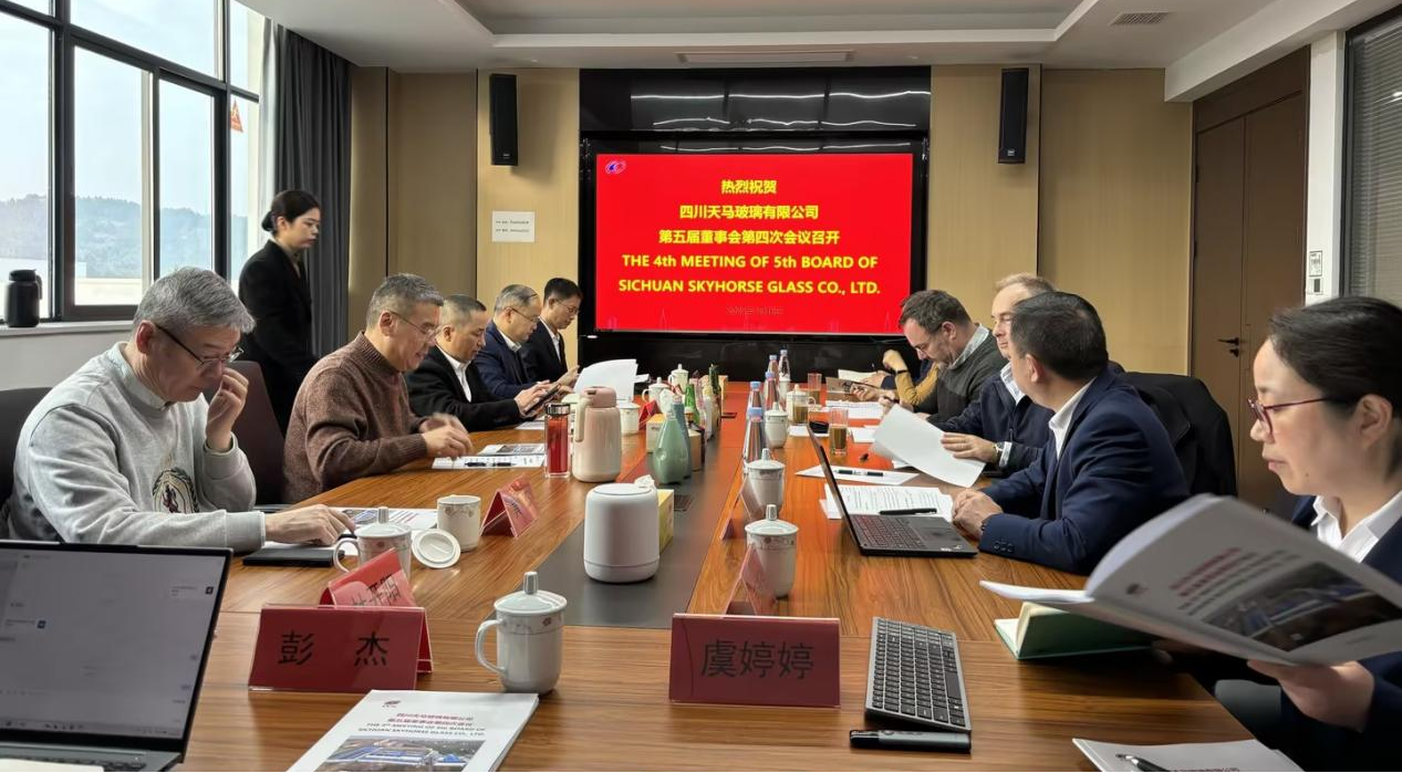 共創造，共美好 | 四川天馬召開2025年度工作會議(圖14)